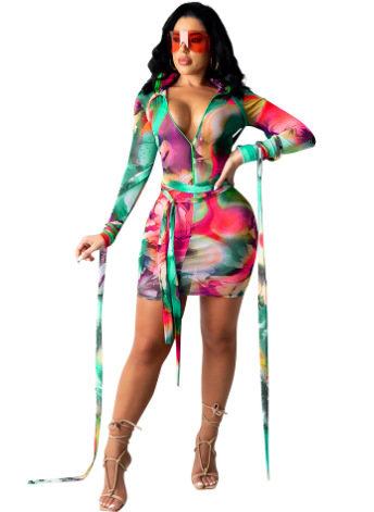 Women's Printed Mesh See-Through Dress